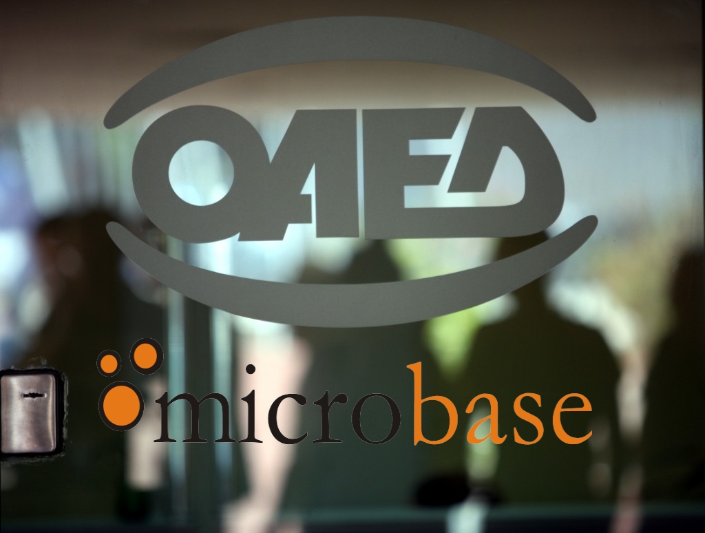 oaed-microbase