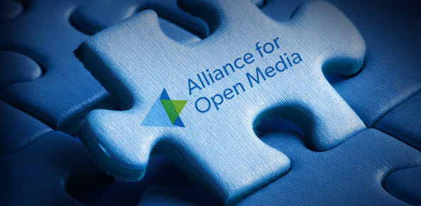 Alliance for open media